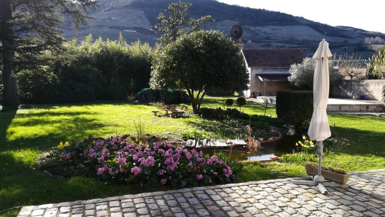 Bed and Breakfast Les Palmiers Mauves Exterior foto